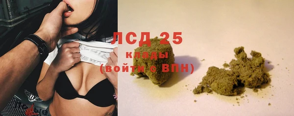 крисы Нея