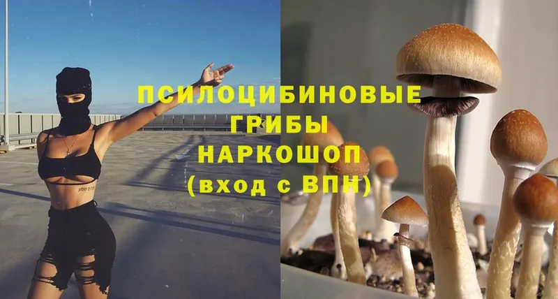 купить наркотики цена  Батайск  Псилоцибиновые грибы Magic Shrooms 