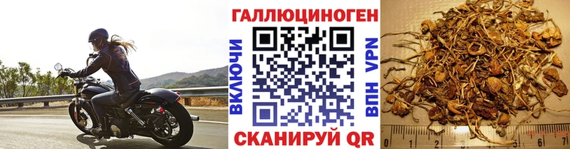 Галлюциногенные грибы GOLDEN TEACHER  нарко площадка формула  Батайск  цена наркотик 